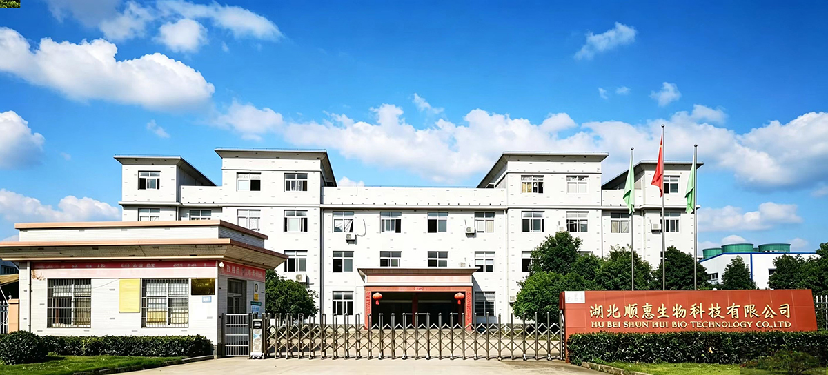 大门区